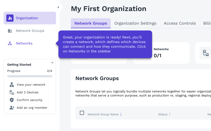 ZeroTier Central onboarding interface detail